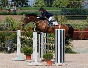 DE RISIO IRWIN CampITA2013- S5 0246 : Campionati Italiani 2013, Cattolica, DE RISIO DANIELA, E.H. IRWIN LIZZY, Horse Riviera Resort, foto di Stefano Secchi ©